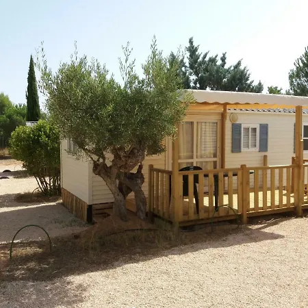 Camping Bola Campsite Villena